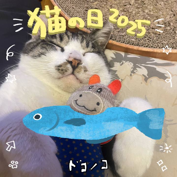 9b2e305d a23f 4df1 a35d 915204eda446 1740209451776