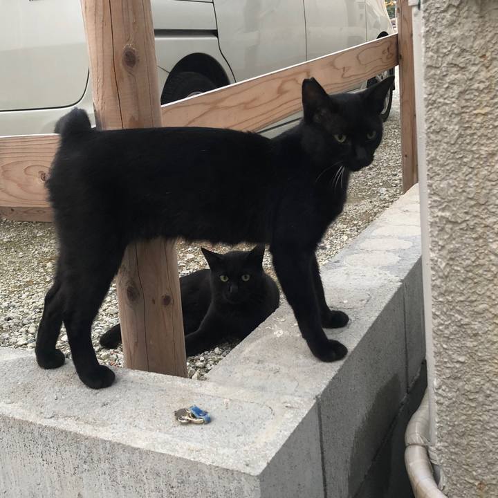 9b2e3991 eb7f 4e80 8471 e2af4b3b4884 1632392598597