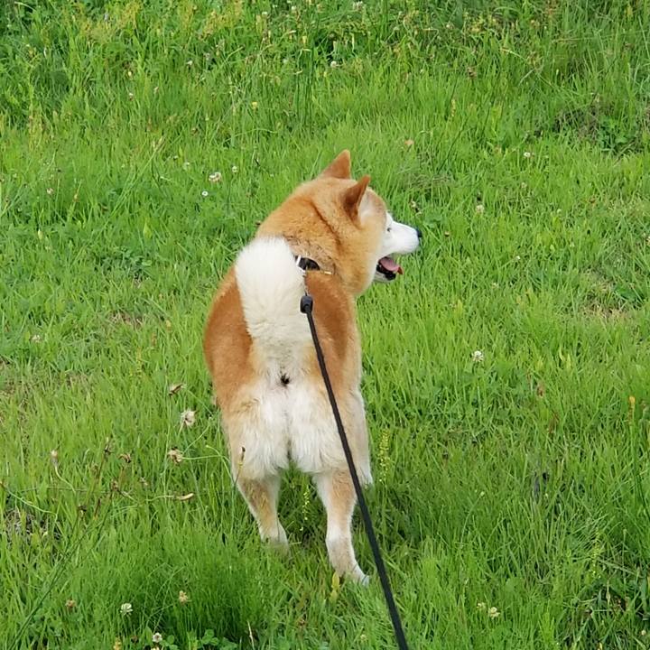 9b2e625f 3f1b 4690 a47a e149eaca9273 1658737141662