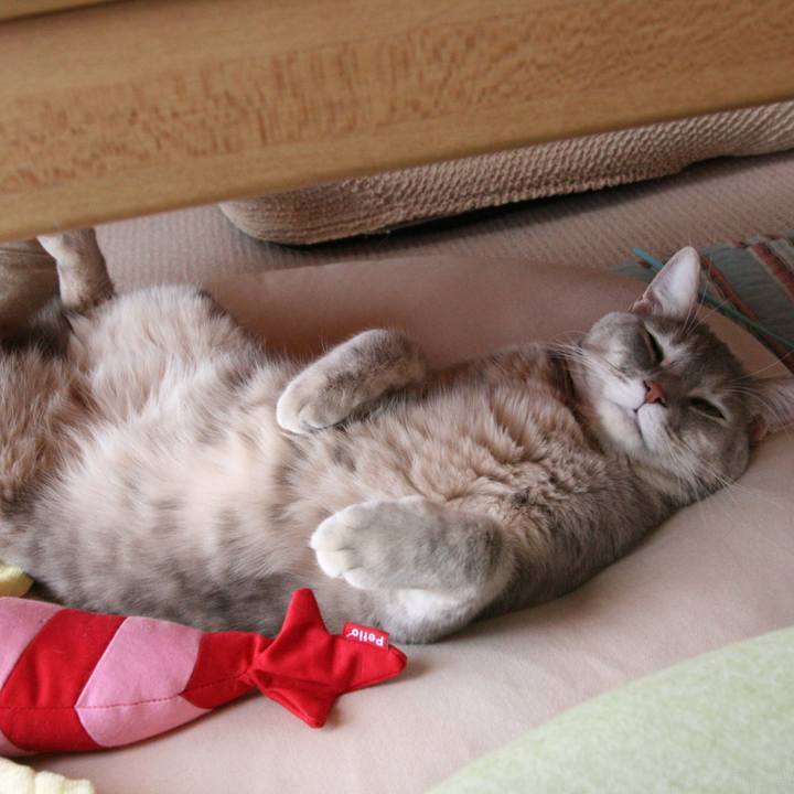 9b2e7916 230c 4cfb 94ac e4d236b914ad 1516421977188