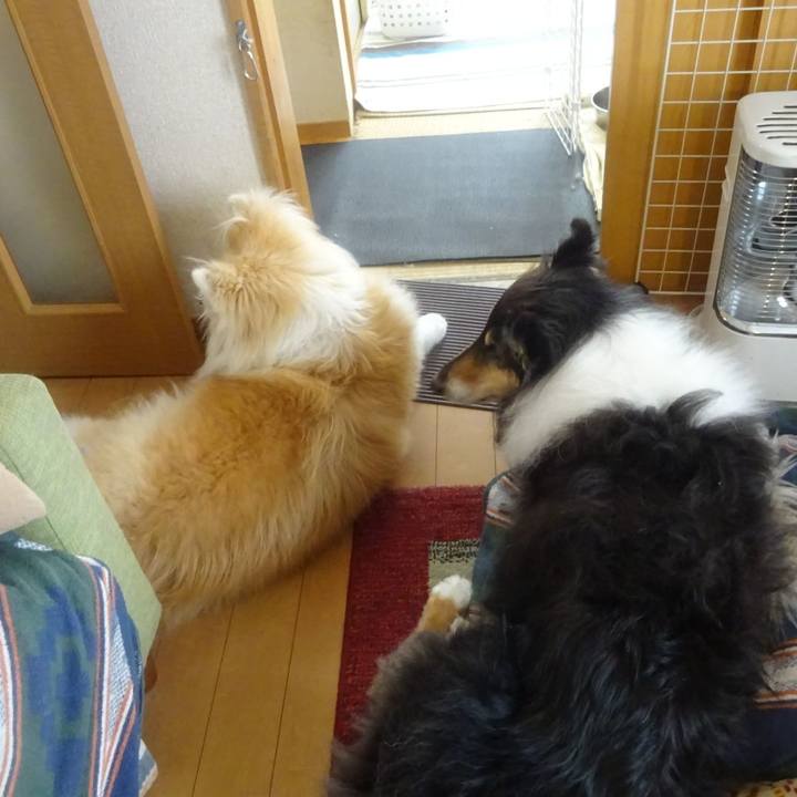 9b2e79e7 a233 4d26 b191 3b6068092046 1617108149098