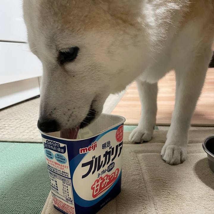 9b2e9a8f 8979 4b10 adec 6815536e8316 1640129486691