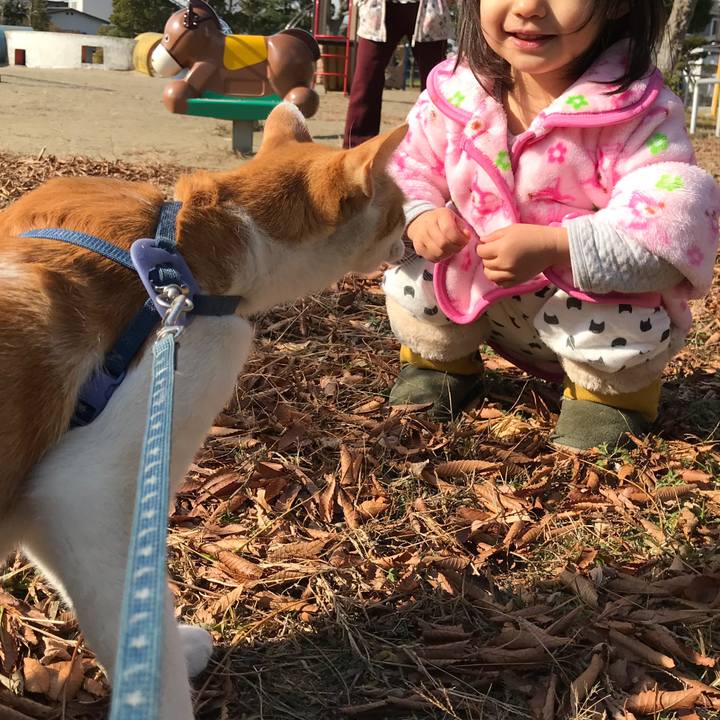 9b2efabd ed7b 45ae bc82 424db7f050bf 1511319749304