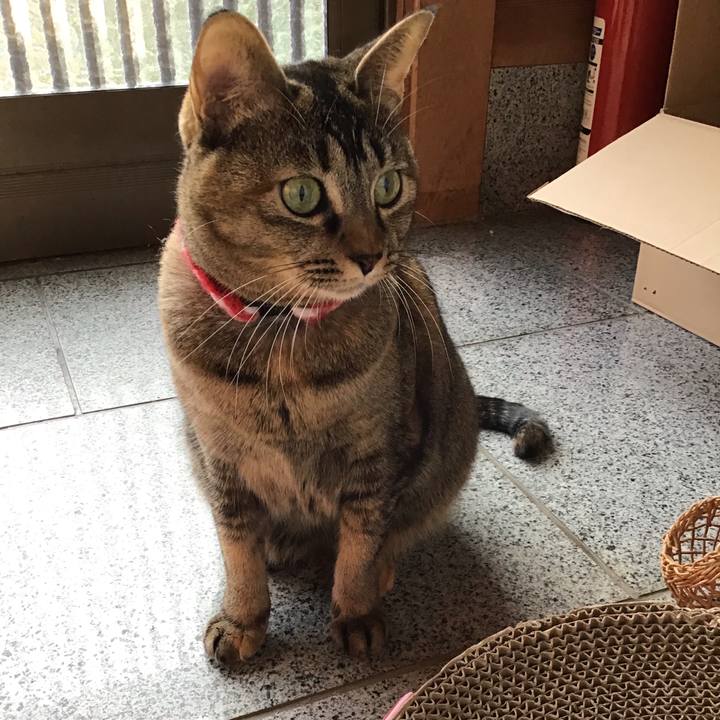 9b2f4e8c eab5 4744 a0b3 49b0a780afbe 1606887198728