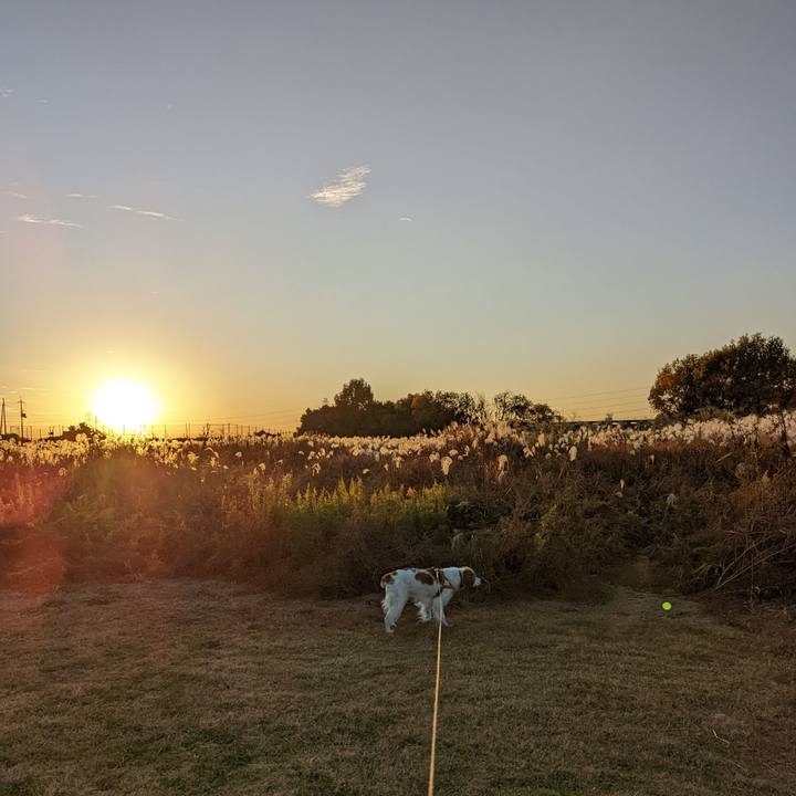 9b2fb24d 9f12 4aee bcc5 d9098f3edb91 1669460357831