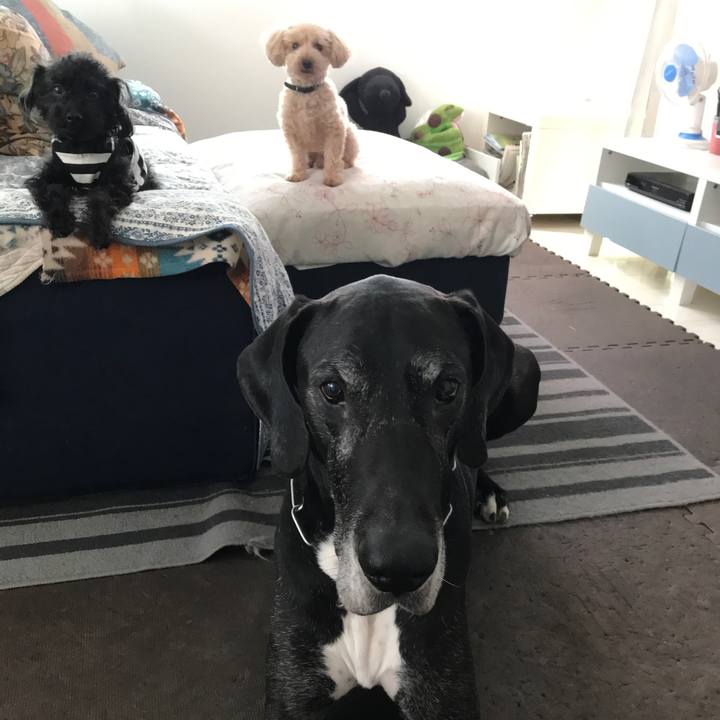 9b2fd772 14cb 4a30 9309 247dd4109933 1526337861573