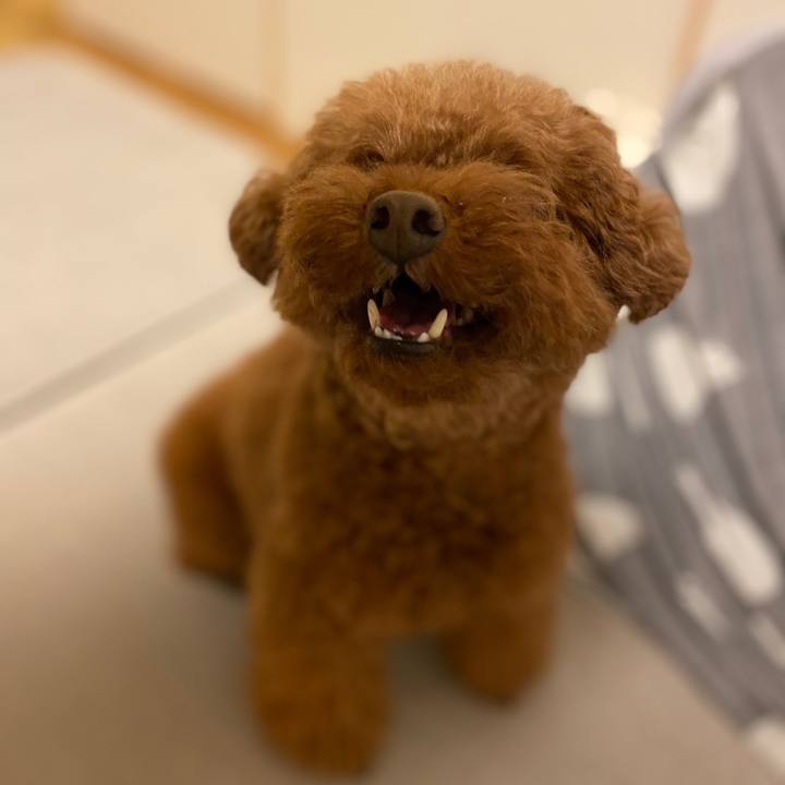 9b2ffa0a 9aa0 49e9 a145 793fef4aefd1 1569799378118