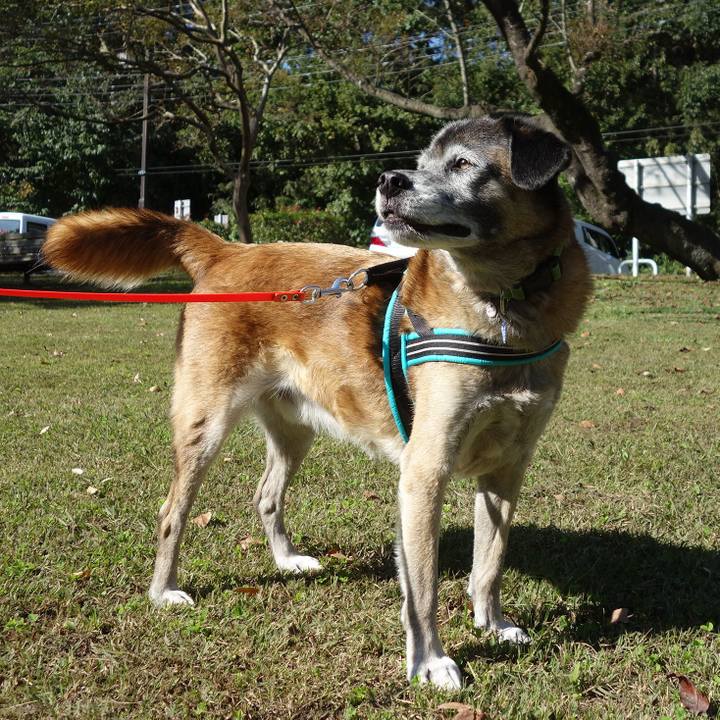 9b307c6c d3fc 4e72 8075 cab17a406c1f 1650329674375