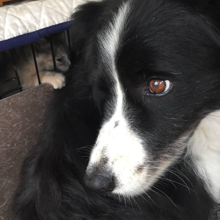 9b308c63 797d 4e82 bcb1 dc29790c583a 1571875904896