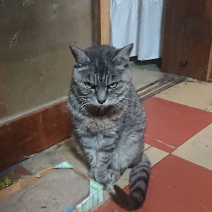 9b3097df 9110 4861 9d4e 65b8d892ddcb 1572253088885