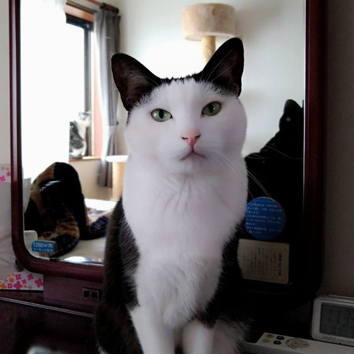 9b30e6fe 7d9d 4a0b 89fb 56b6e2e060a7 1602989844252