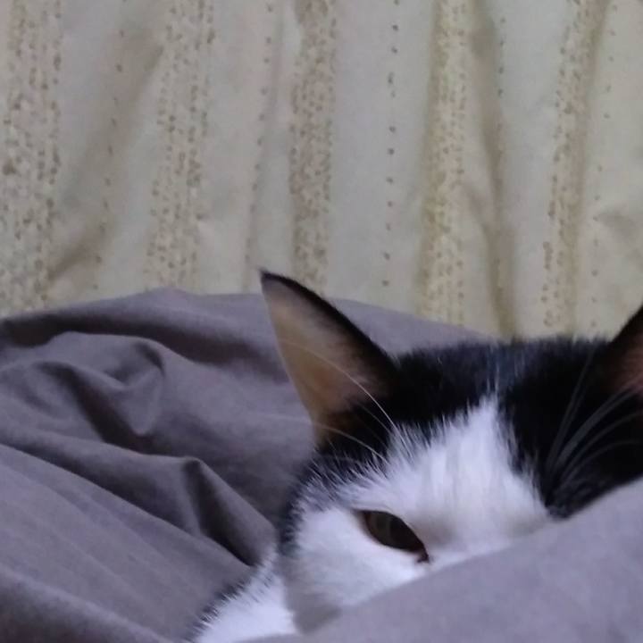 9b30ffd6 aee1 4574 8161 1817482f6c0a 1552647832530