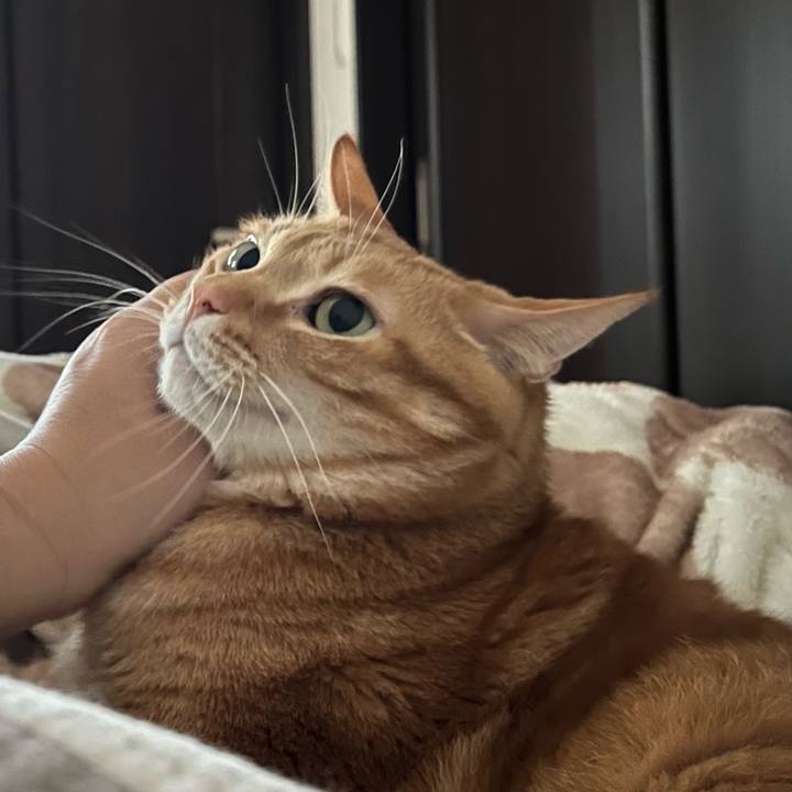 9b310922 cf85 4ae4 aeec 4e577bf42853 1708219294887