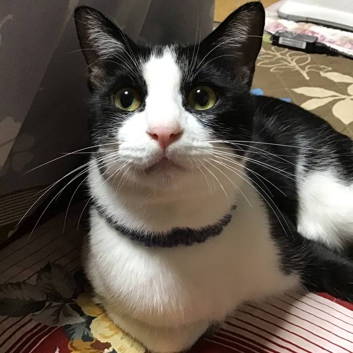 9b313d3b 585e 47ed b002 68058bf76f52 1666439241628