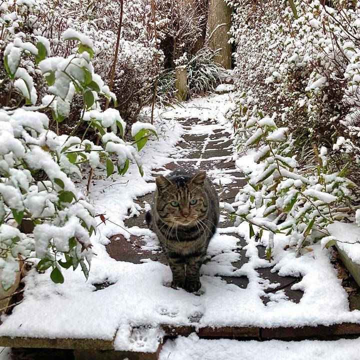 9b3145b2 27d4 4dd0 b27a aa49c7a9b319 1639784618857