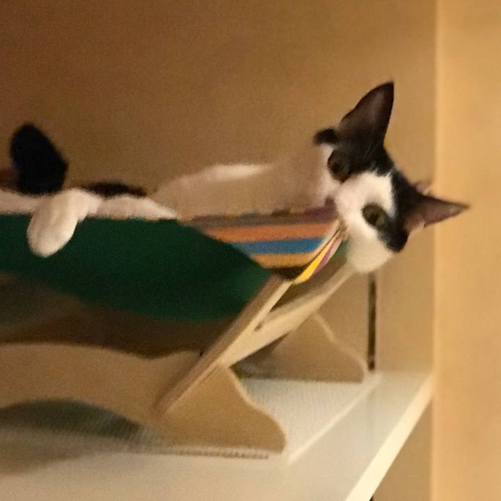 9b31a375 a058 4aed 86a7 7f666e51e7a8 1535464622794