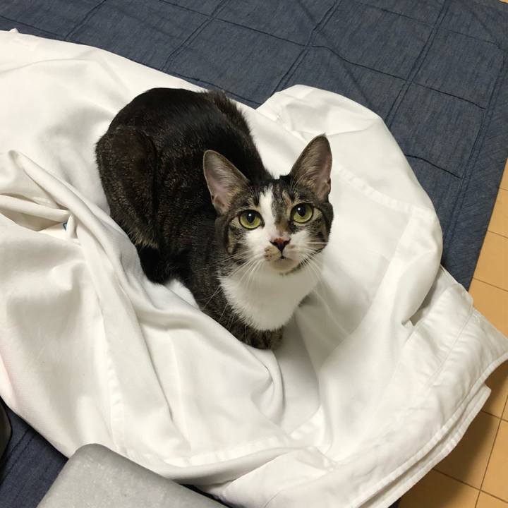 9b31d796 7e9a 4fb8 b507 e3efa2b4e23f 1537464000077