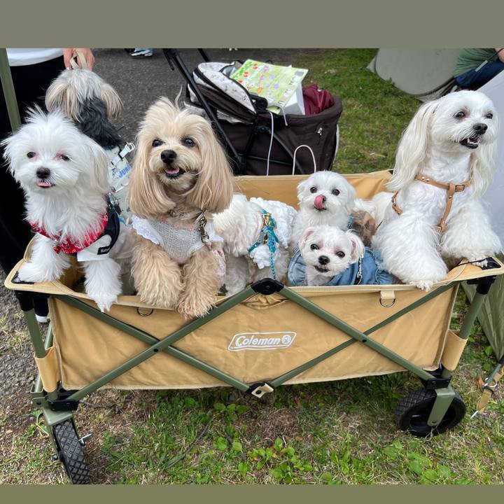 9b32122f 69b5 41ad ad90 6da42d55d8ee 1717137696741