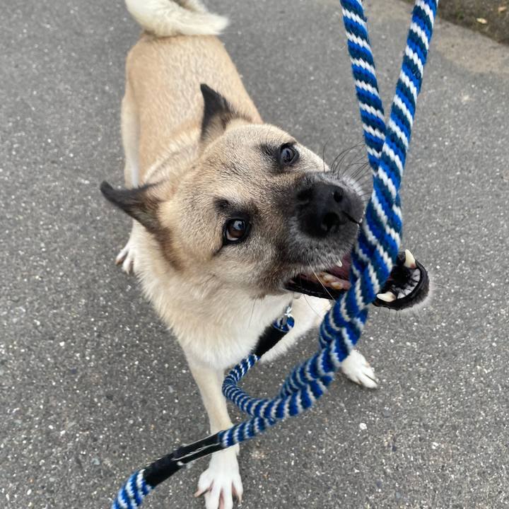 9b32159d 08a8 4180 8752 3baf0d441a74 1663069921592