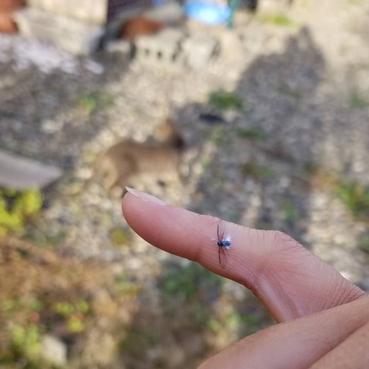 9b321bf9 92c1 4f4c b8c7 dba021bdfe1b 1538724974611