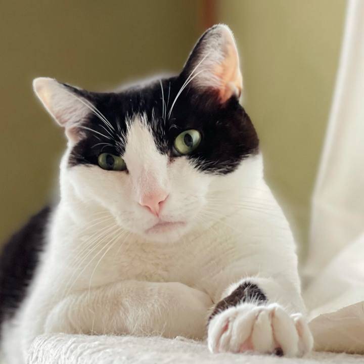 9b322260 41f3 4ef1 8fe4 44301d264694 1624330241963