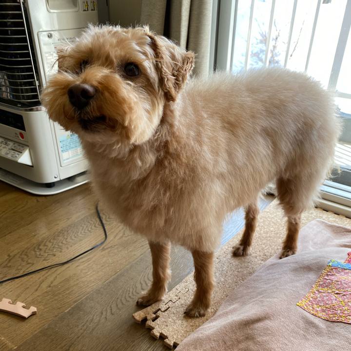 9b323d19 d680 4d44 b4a3 7a57bef1c4b6 1615606765017