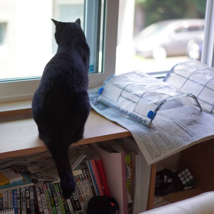 9b325867 bc6b 4859 8b05 5163f307fc42 1626498358828