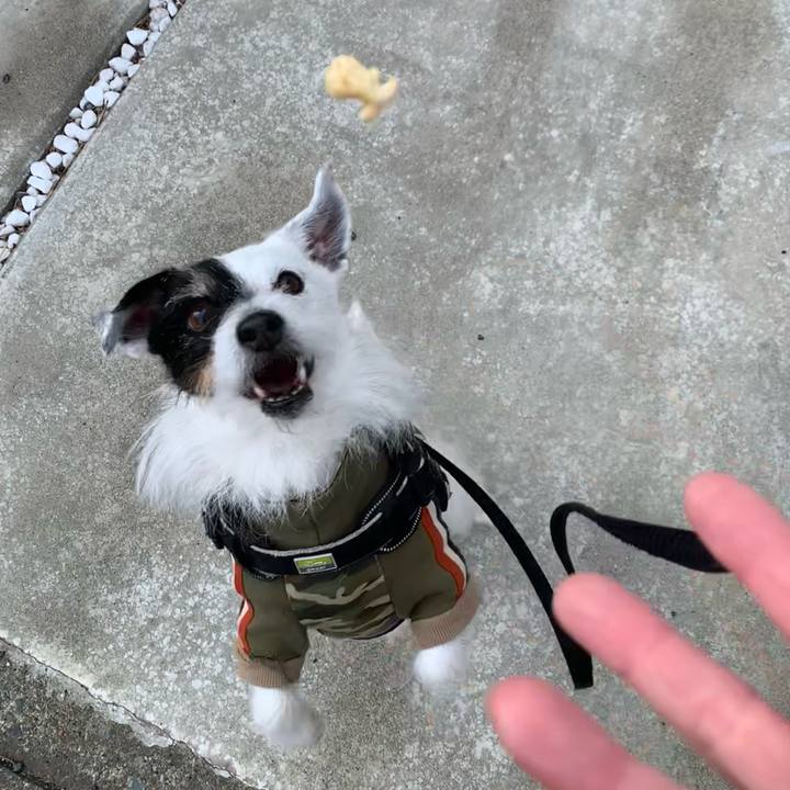 9b325ced 52ff 4cdb 8c68 2b5044c1f011 1742256513497