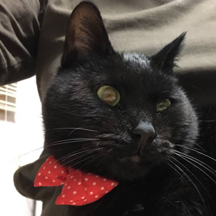 9b329491 3eab 4399 a80b 35c519509f7d 1546002584383