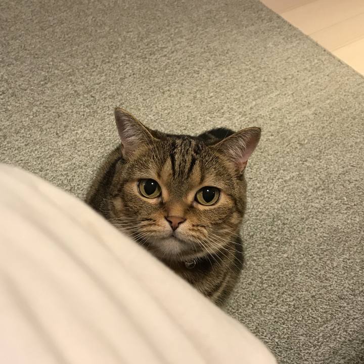 9b32a067 ebe6 457a a839 1390af94abb6 1508135154179