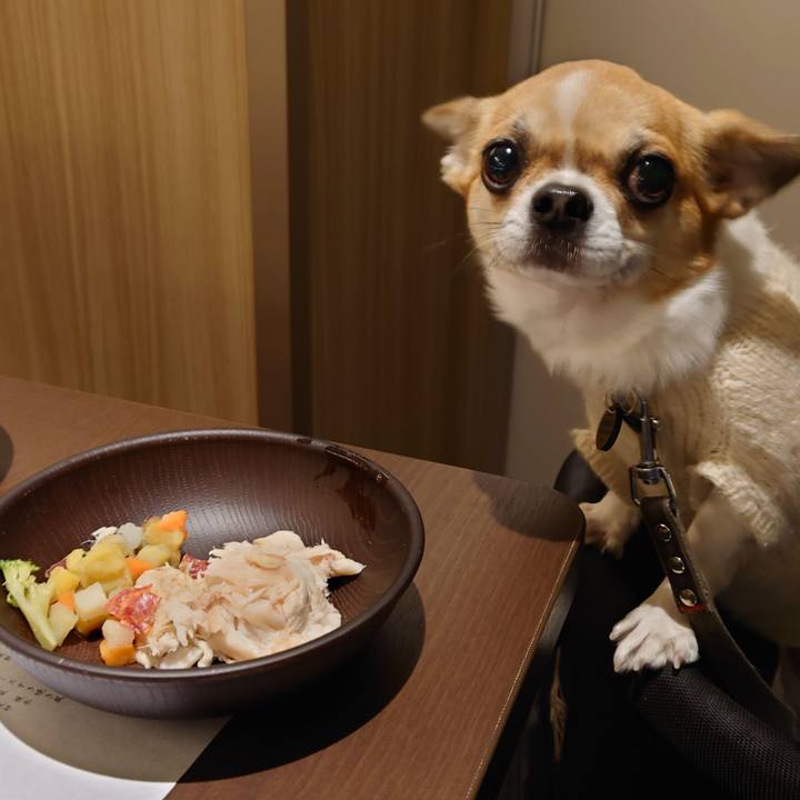 9b32ae42 8514 4c6b 8db1 8ff0525f3d4a 1640677908347