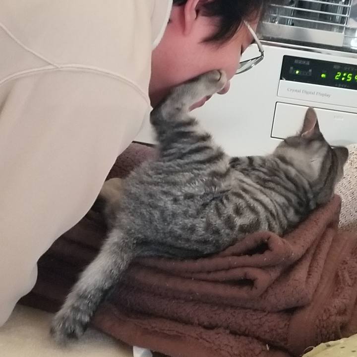 9b32b238 7907 4c2f 9fb9 7cf322ebfc82 1669290323717