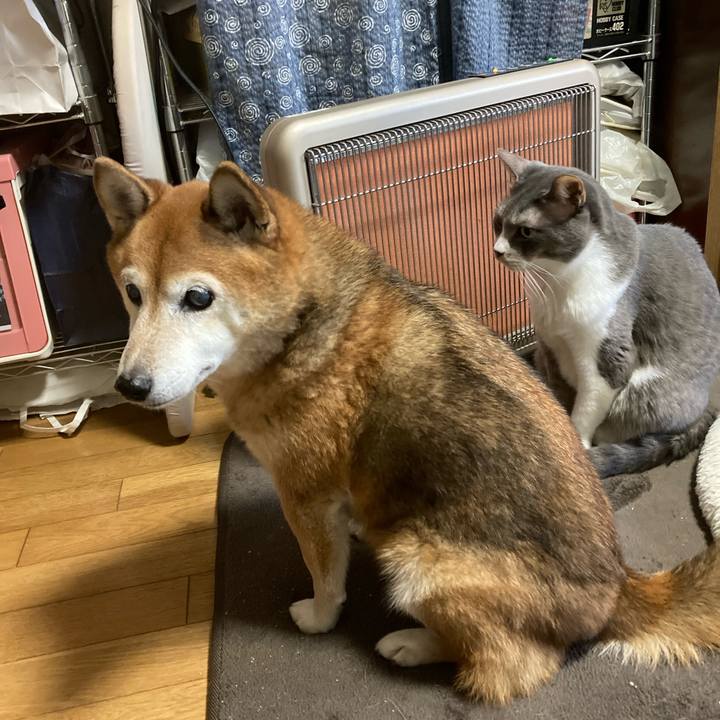 9b32c242 71a4 4213 87d6 955c667444bd 1700115158042