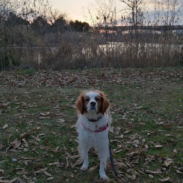 9b32e2ff 0102 41af 978b a91f42bf6a79 1578126698640