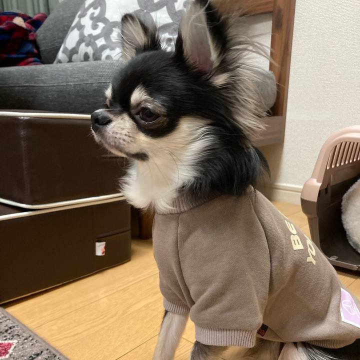 9b332c69 9644 4802 a505 41f257a87f24 1605353343699