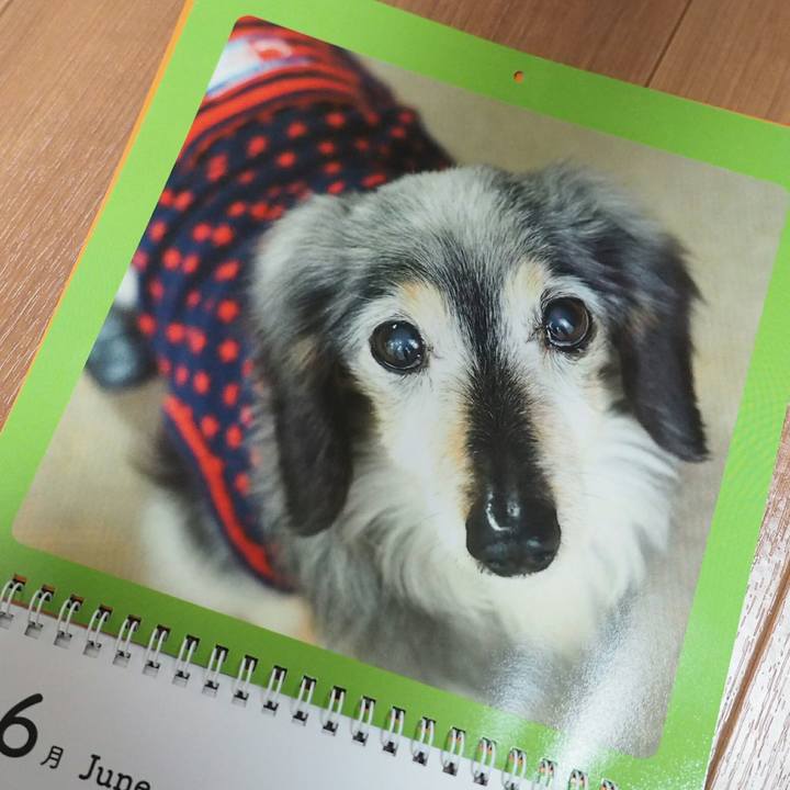 9b33b7d8 5f92 4593 8a0e 07a56cf0f424 1527864753672