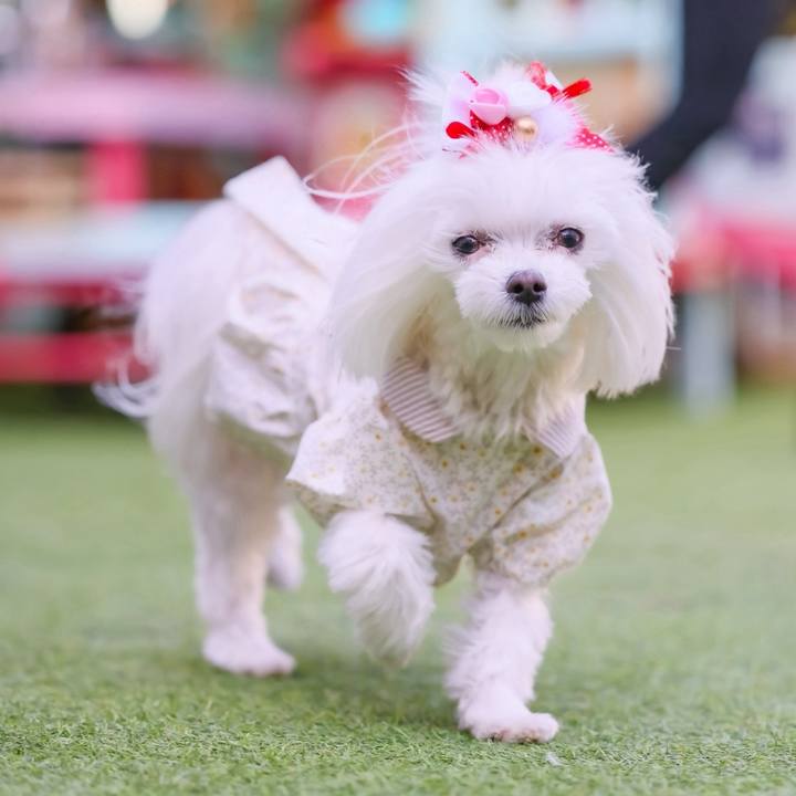 9b33ce95 9cd3 4c57 81d1 0b5a2998168f 1741789692958