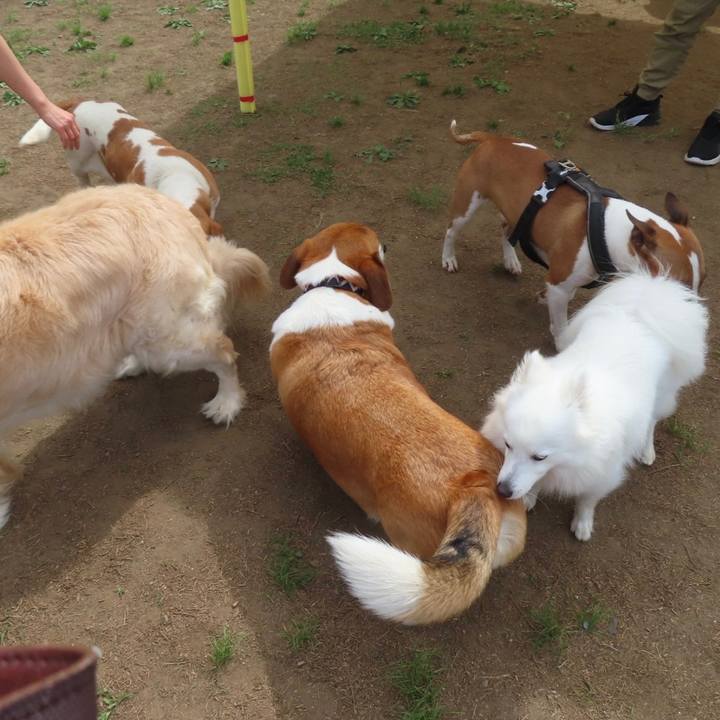 9b33e1e7 933a 46ff aa94 65f720db99f3 1683592301230