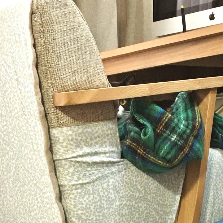 9b33f2d6 b3b5 4c97 8832 1239b0c9f7a6 1778471654046