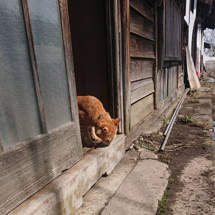 9b33f5a1 566c 4ba4 9b81 4be439a336d9 1647230181433