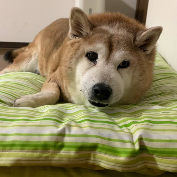 9b340286 ce15 4f8f b10c be056fe5144b 1630241073354