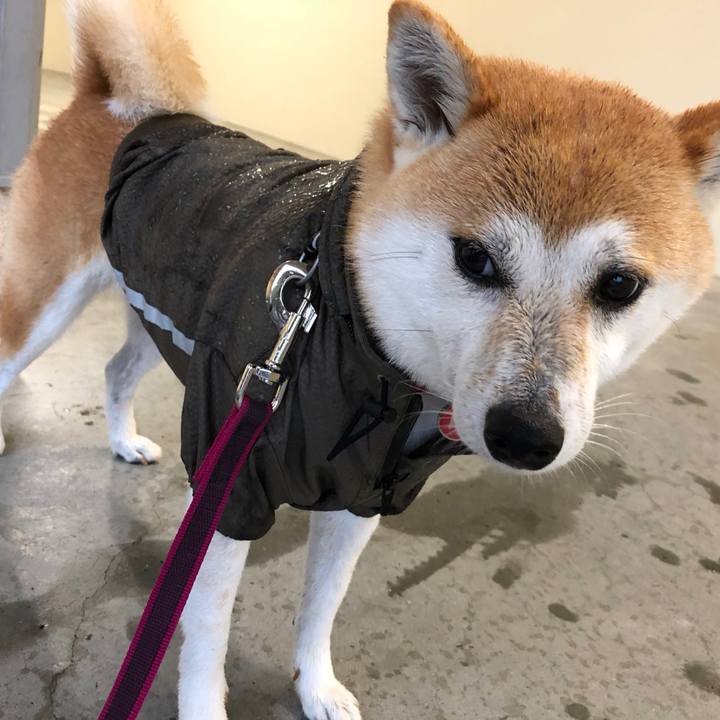 9b3427a5 c909 4e5e 8007 f44a39c7f127 1530784945251