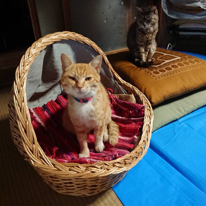 9b342933 8a06 43a8 bea4 10e417bb1751 1557909183763