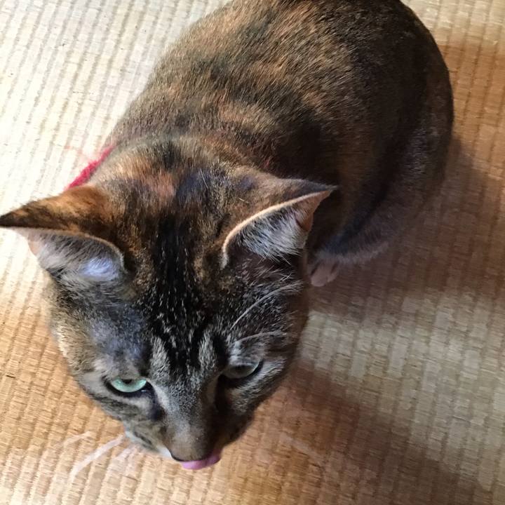 9b345b76 6665 4ef0 9d78 f90d8d06ead5 1612601201369