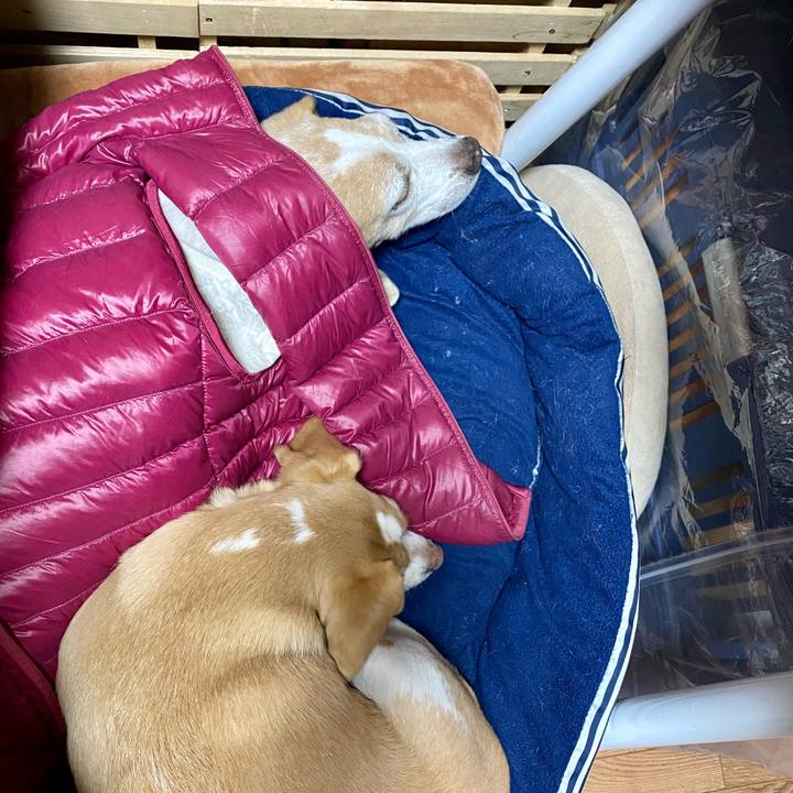 9b346fde 5ece 4d00 88d9 183249418edf 1610436021747