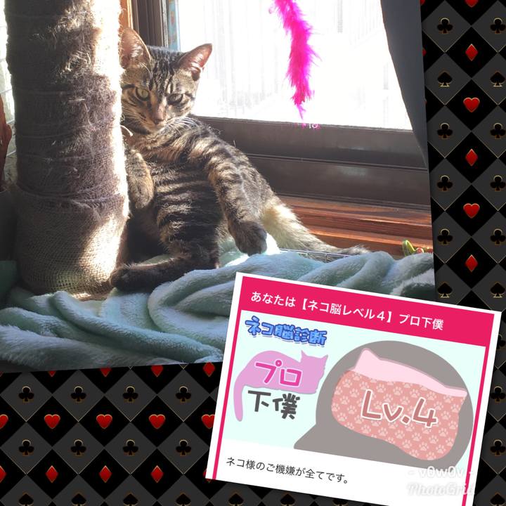 9b3499ee e588 431d 9ec8 e16cc566e613 1545280998857