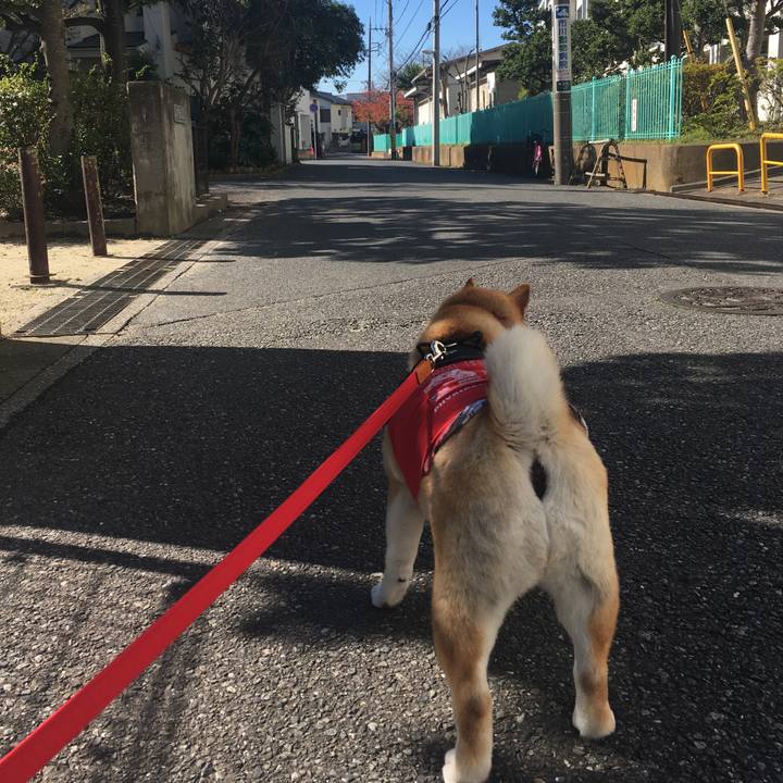 9b34a432 5772 4862 a4e0 44f42da906dd 1574997890716