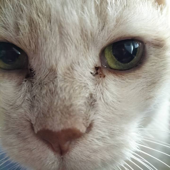 9b34b66b 14db 4e0c 93b7 6e0797f24719 1697323483371