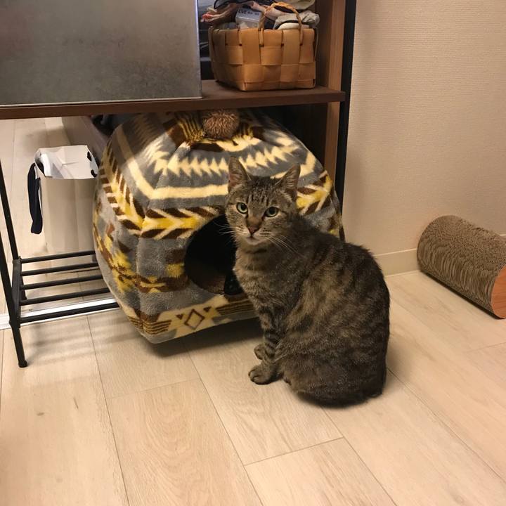 9b351917 19cb 4016 a937 bf44b864cef3 1523672244498