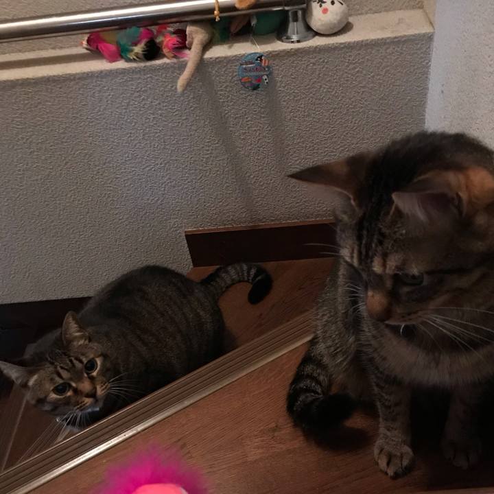 9b351c04 60d0 4397 be90 97aed1d70d11 1552656584843